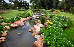 Water Features